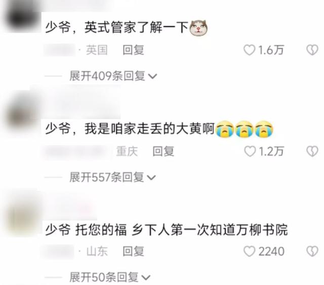 “少爷和我”故事背后：我们对财富的渴慕，如何走向扭曲